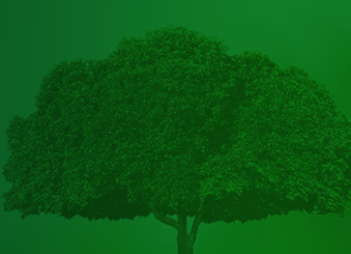 Myśl ekologicznie i oszczędzaj