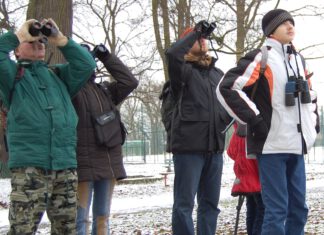 Zimowe ptakoliczenie