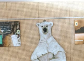 Mężczyzna na tle sylwetki niedźwiedzia polarnego