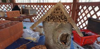 na pierwszym planie skrzynka lęgowa dla owadów, przypomina typową budkę lęgową dla ptaków, ale jest wypełniona materiałem organicznym