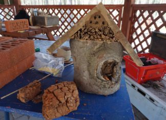 na pierwszym planie skrzynka lęgowa dla owadów, przypomina typową budkę lęgową dla ptaków, ale jest wypełniona materiałem organicznym