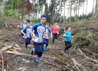 Grupa młodzieży z UMKS zbiega z góry, po wykarczowanym terenie