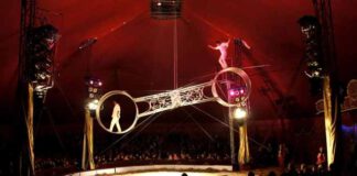 Wahadło śmierci - spektakl w cyrku