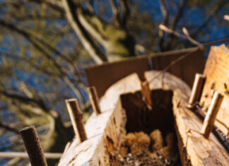 Piknik Rodzinny „Co nam daje las”