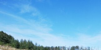 zawodnik cross-country na trasie