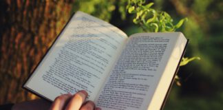 człowiek siedzi pod drzewem, widać jego dłoń trzymającą książkę