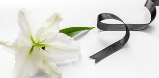 biała lilia z czarną wstążką na białym tle