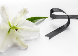 biała lilia z czarną wstążką na białym tle