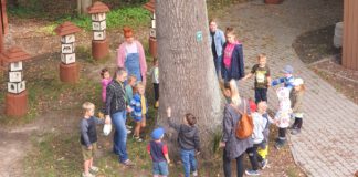 pień ogromnego drzewa, dookoła gromadka dzieci z opiekunami