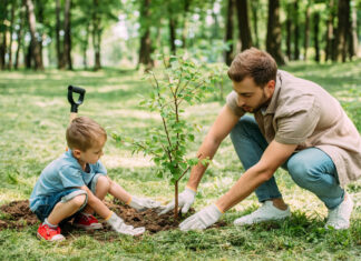 „Jedno dziecko – jedno drzewo” – czekamy na ostatnie zgłoszenia! ojciec z synem sadzą drzewo