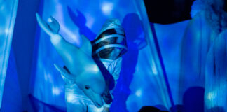 Spektakl - aktor z delfinem w ręku