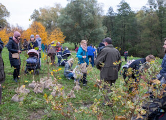 Jedno dziecko – jedno drzewo Akcja "Jedno Dziecko - Jedno Drzewo"