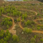 437583816_393150916866357_7849679617389681604_n