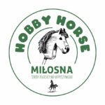 HOBBY HORSE__