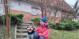 Przytulisko psów na Miłosnej