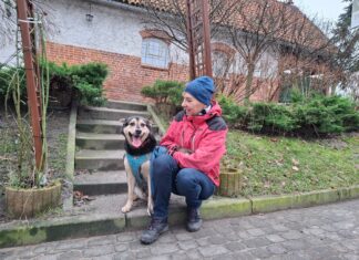 Przytulisko psów na Miłosnej