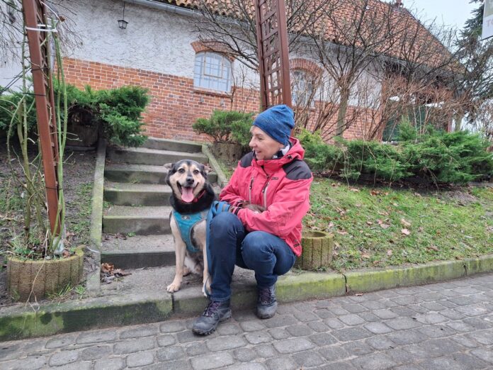18012025_Adopciaki_fot_N.Cesarz_10 Przytulisko psów na Miłosnej