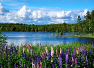 Nabór projektów zakończony