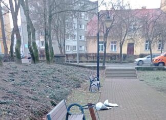 Wandalizm na Skwerze kombatantów