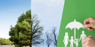 Dofinansowanie na Miejski Plan Adaptacji do zmian klimatu w Kwidzynie