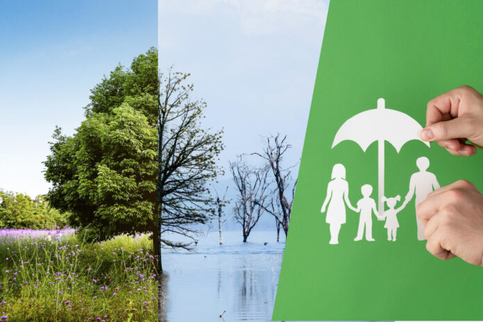 Plan_Adaptacji_freepik2 Dofinansowanie na Miejski Plan Adaptacji do zmian klimatu w Kwidzynie