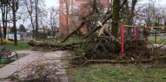 Silne porywy wiatru na terenie Kwidzyna