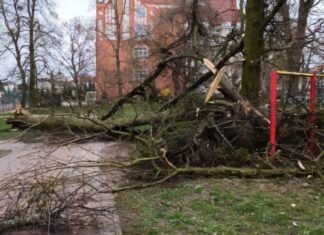 Silne porywy wiatru na terenie Kwidzyna