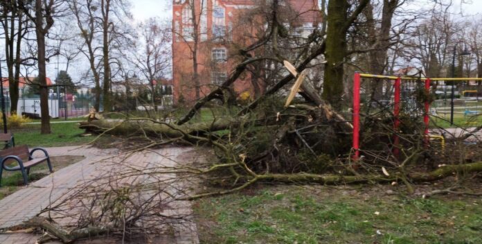 image0000 Silne porywy wiatru na terenie Kwidzyna