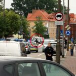 Łoś na ulicach Kwidzyna