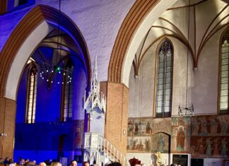 Magia dźwięku w sercu gotyku! Koncert DOROTHEA Międzynarodowy Festiwal Muzyki Organowej i Kameralnej w Kwidzynie!