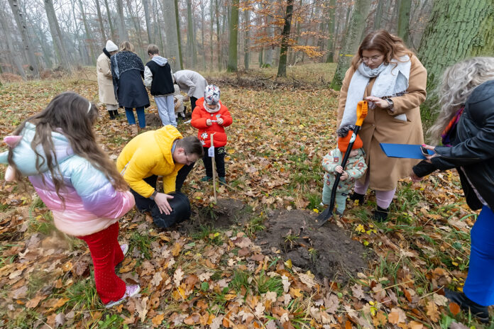 20251108_-V-Finał-Akcji-Jedno-Dziecko-Jedno-Drzewo-Edycja-2025_foto221
