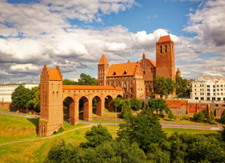 Otwarty konkursu ofert dla organizacji pozarządowych