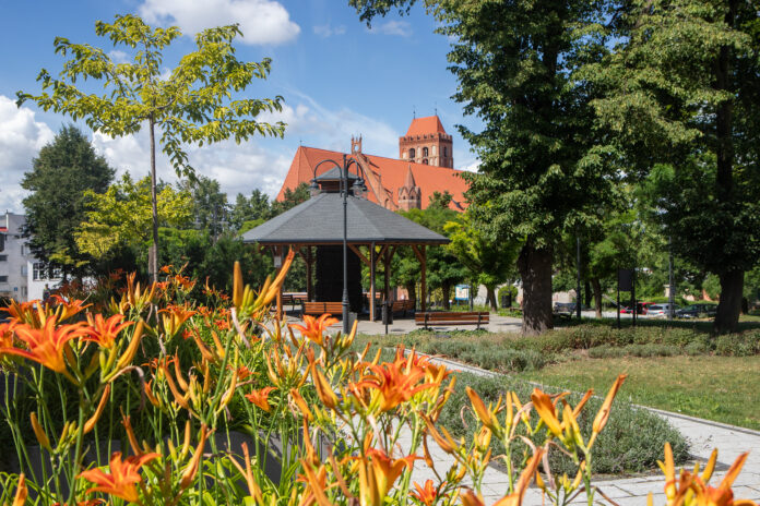 20230718_Park-Tęrżnia-Dzieci-Kwiaty_foto067
