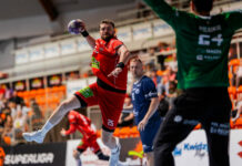 Emocje w Kwidzynie! Energa Bank PBS MMTS podejmie Handball Stal Mielec